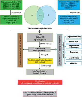 Network-Based Approach and IVI Methodologies, a Combined Data Investigation Identified Probable Key Genes in Cardiovascular Disease and Chronic Kidney Disease